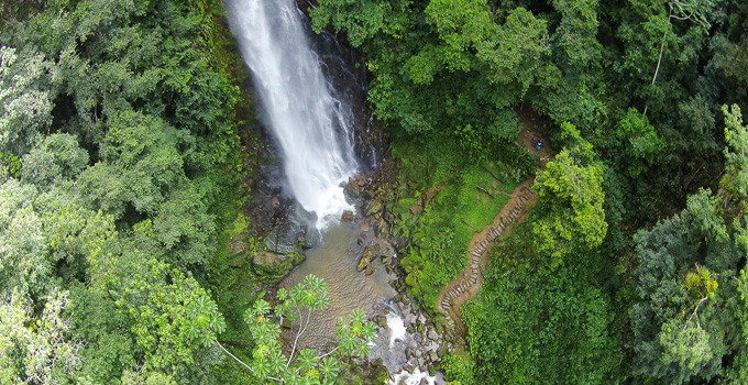 O Petar possui mais de 35 mil hectares de Mata Atlântica preservada (Petar Online/Divulgação)