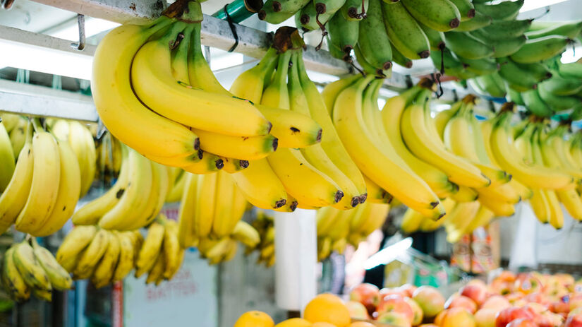 A banana é uma das frutas que não devem ser colocadas na geladeira (Divulgação/Agência Brasil)