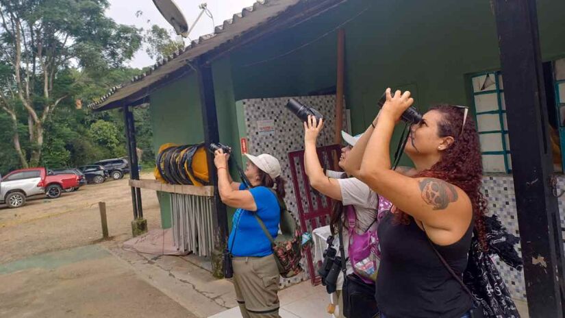 A atividade de observação de aves pode ser realizada a "olho nu"/Karina Avila / Arquivo Pessoal