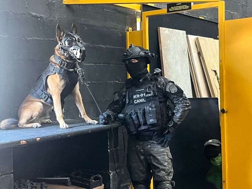  cão policial Coyote fez história na Polícia Militar. Crédito: divulgação/ PMSP