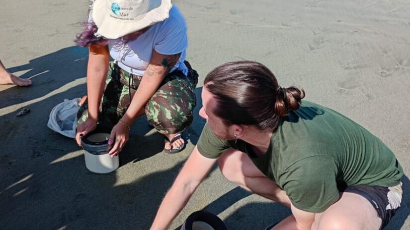 Apesar das investidas, a ilha segue resistindo e abriga rica fauna e flora terrestre / Divulgação/PMS