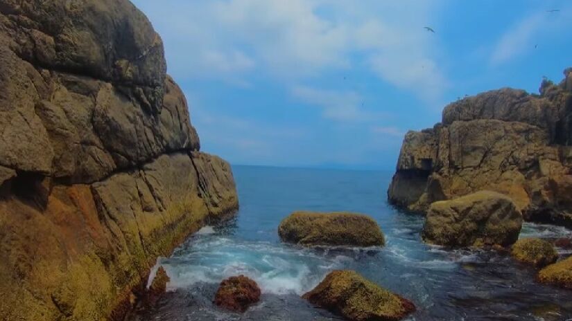 O local é cercado por vegetação típica da Mata Atlântica/Youtube Ubatuba Guide