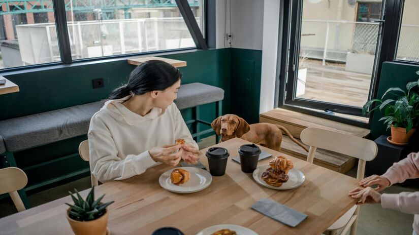 Muitos tutores ainda não sabem se é uma opção válida alimentar os cães com arroz (Ron Lach/Pexels)