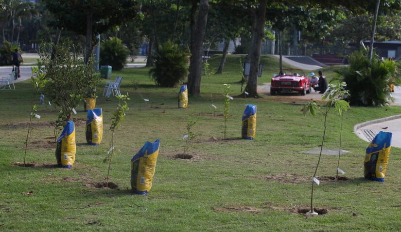 Divulgação/Prefeitura de Santos