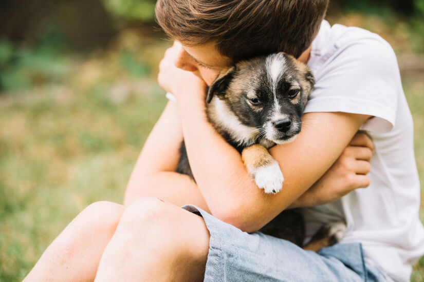 Muitas pessoas simplesmente adora acariciar os cães / Fotos de Freepik