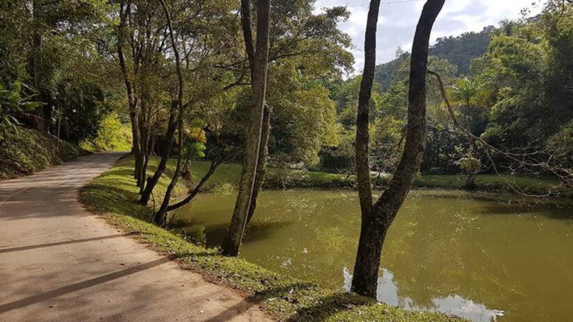 Divulgação/Prefeitura Municipal de Monte Alegre do Sul
