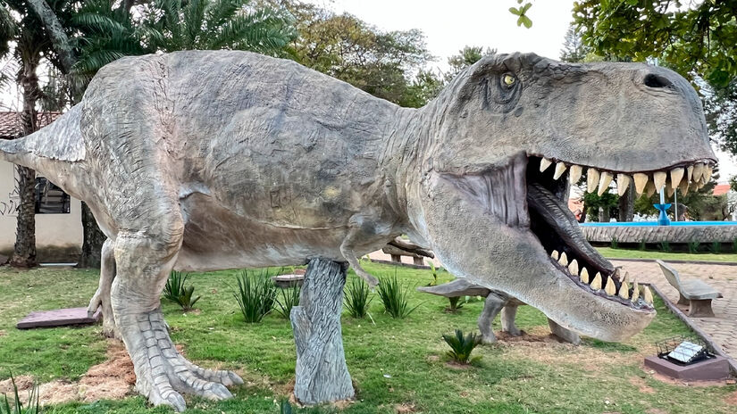 Divulgação