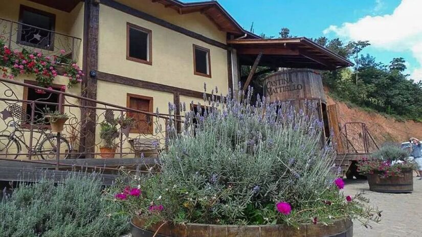 Com forte influência da cultura italiana, herdada de sua colonização, a cidade oferece inúmeras cantinas/@Viajantes de Estação em Estação