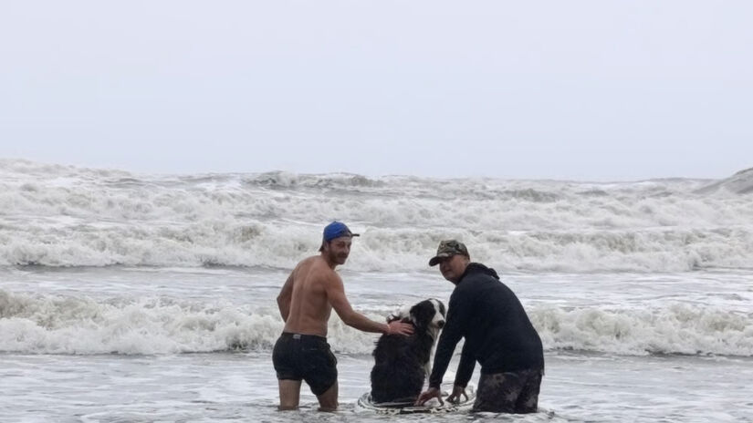Além de divertida, a atividade fortalece o vínculo entre tutor e pet / Divulgação/Pets Turistas