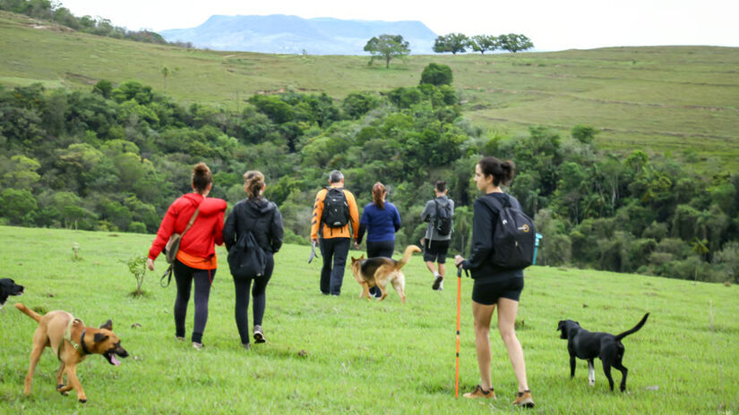 A proposta da Pets Turistas é garantir experiências únicas / Divulgação/Pets Turistas