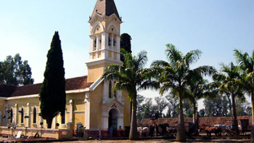 Divulgação/Fazenda Santa Gertrudes