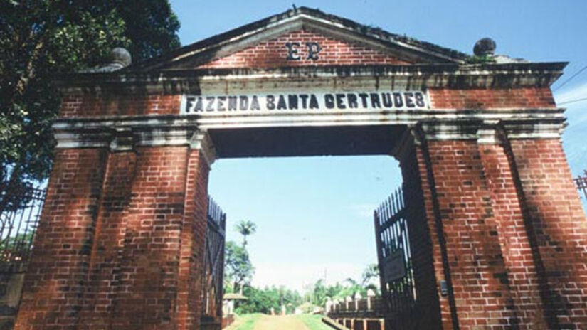 Divulgação/Fazenda Santa Gertrudes