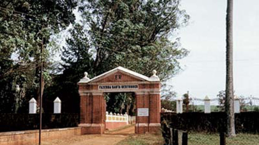 Divulgação/Fazenda Santa Gertrudes