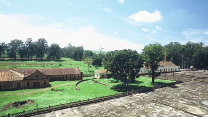 Divulgação/Fazenda Santa Gertrudes