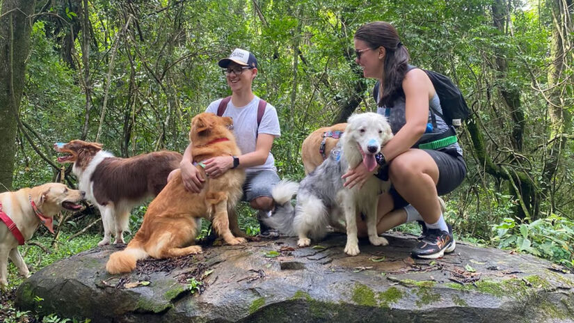Outra sugestão é o roteiro "Aventura na Praia", realizado em Peruíbe / Divulgação/Pets Turistas