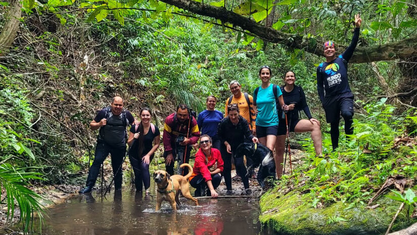 Essas experiências promovem a confiança e a conexão emocional / Divulgação/Pets Turistas