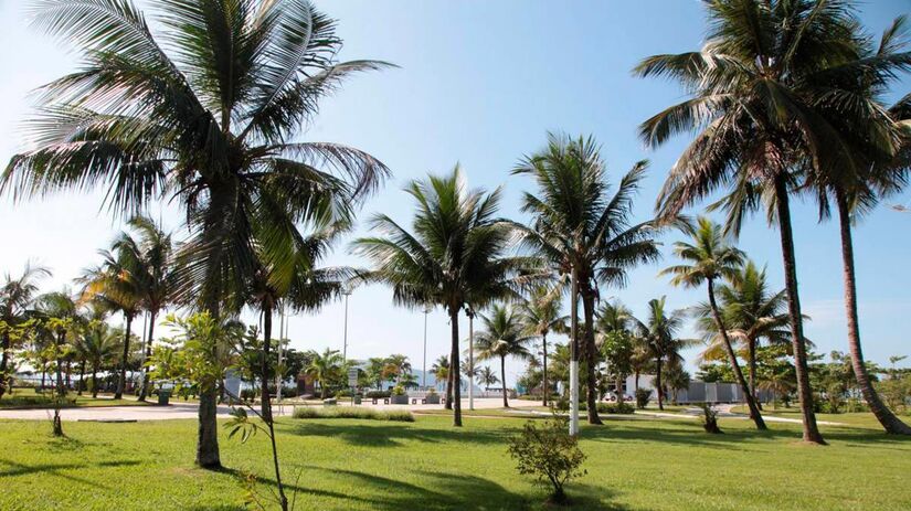 Ele emoldura os sete quilômetros de praia - são 5.335m de extensão e largura entre 45m e 50m, totalizando 218.800m²