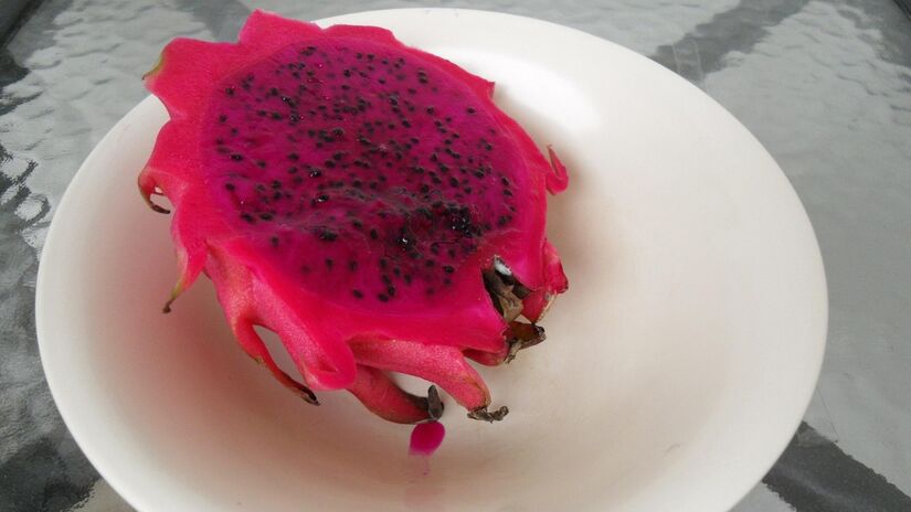 A pitaya vem ganhando status de superalimento / pvdberg/Pixabay