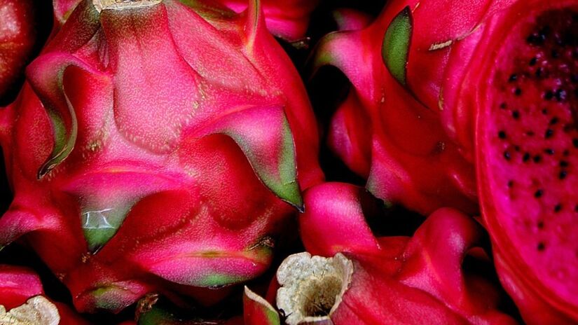 Estudo analisou como a combinação da pitaya vermelha com bactérias benéficas pode estimular um processo de renovação celular / inmemo/Pixabay
