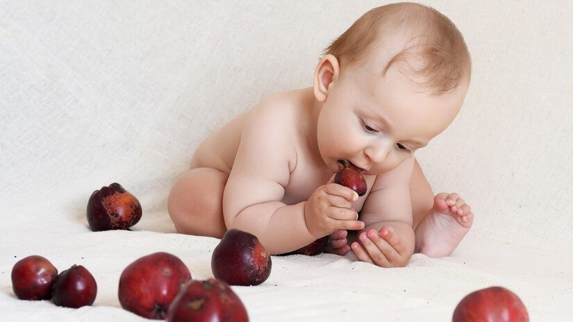 O ideal é introduzir a alimentação aos poucos e sob supervisão médica / Pixabay