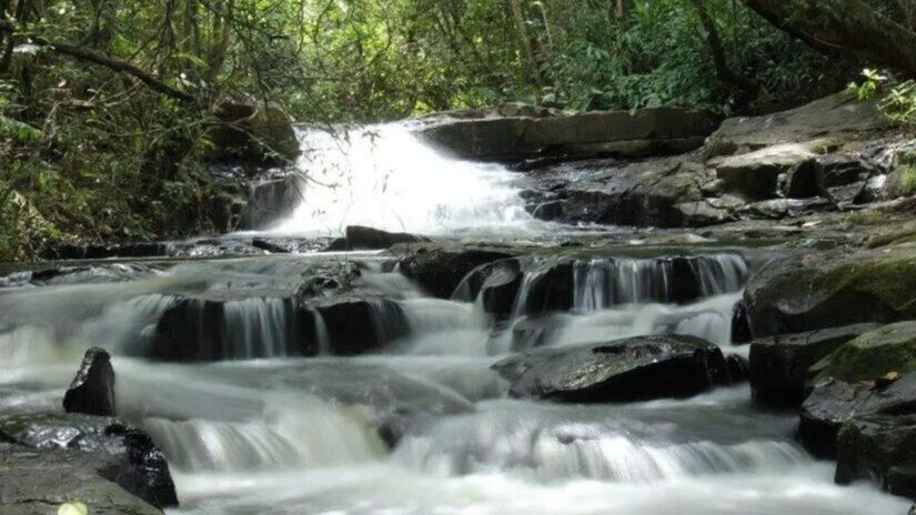 A cachoeira tem uma queda d'água de 25 metros de altura e costuma atrair famílias, trilheiros e amantes da natureza / Reprodução/ Turismo da Estância Climática de Analândia