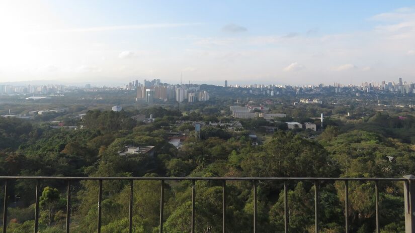 Imagem do Campus do Butantã da Universidade de São Paulo / TiagoLubiana / Wikimedia Commons