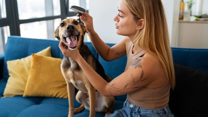 Outro ponto destacado pela pesquisa diz respeito aos impactos fisiológicos do convívio com os cães
