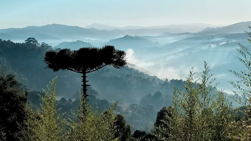 Divulgação/Prefeitura de camanducaia