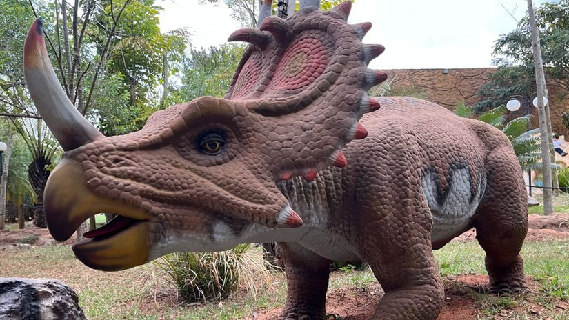 Divulgação/Park Thermas Turismo