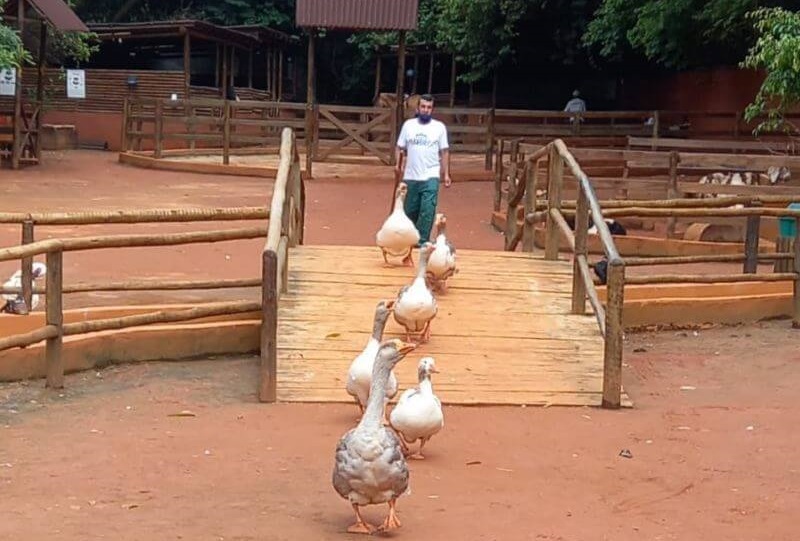 A Fazendinha Estação Natureza é um exemplo do campo na cidade / Fotos: Divulgação