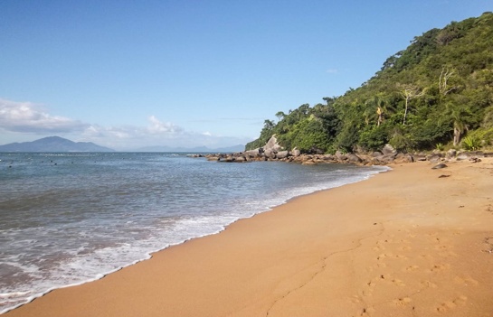 A Ilha do Cardoso é um verdadeiro paraíso intocado no litoral sul paulista / Fotos: Divulgação