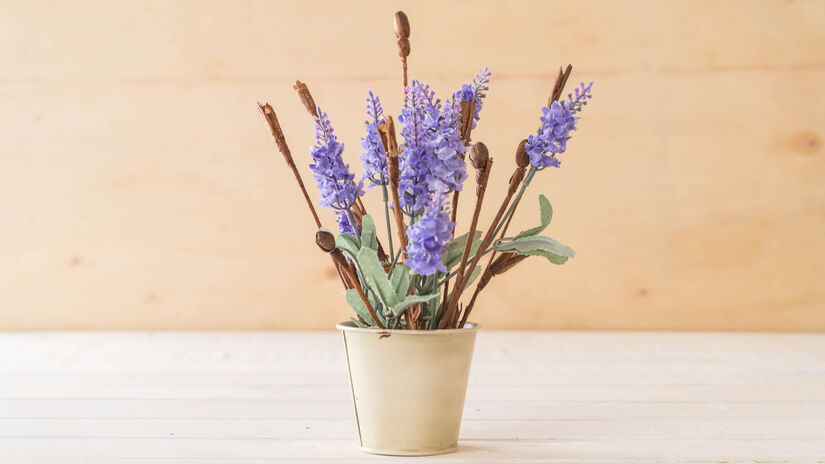 A lavanda combina fragrância agradável e flores vistosas com propriedades repelentes / Freepik/topntp26