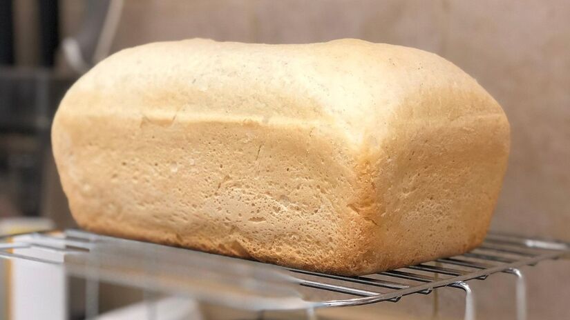 Não deixe alimentos expostos / RetroVulcano/Pixabay