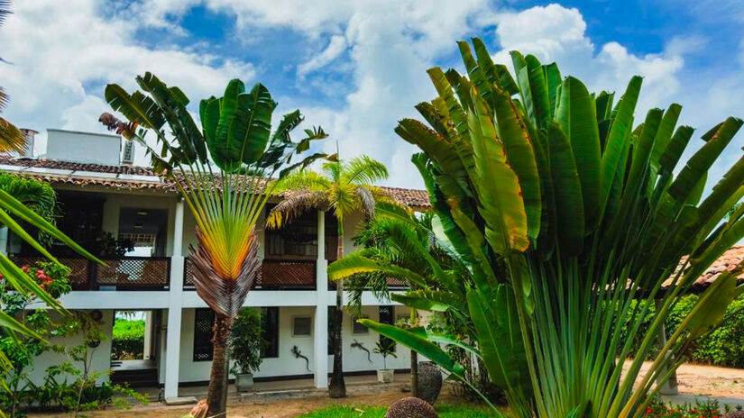 Divulgação/CASA ACAYU