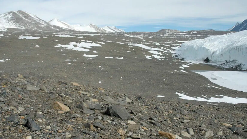  Reprodução/Oceanwide Expeditions
