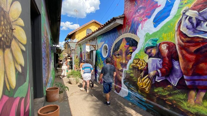 A natureza em Embu se revela em experiências únicas