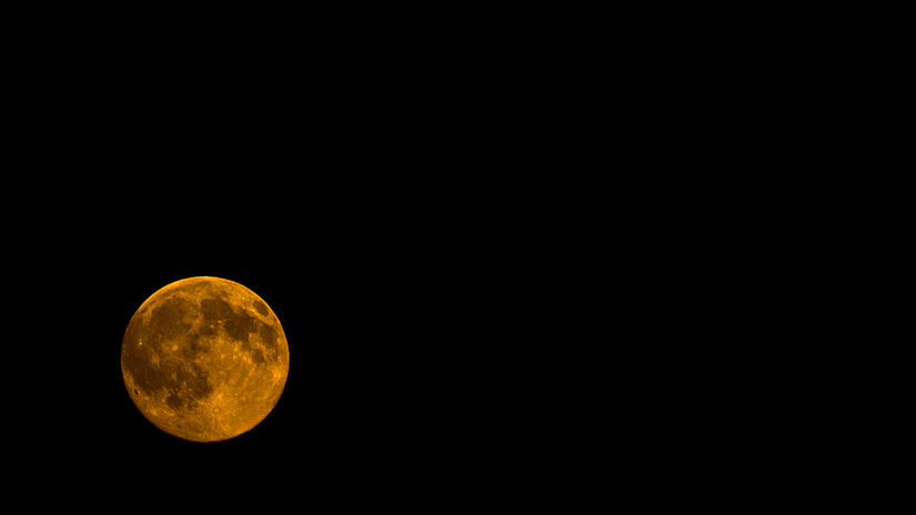 Reprodução/Freepik