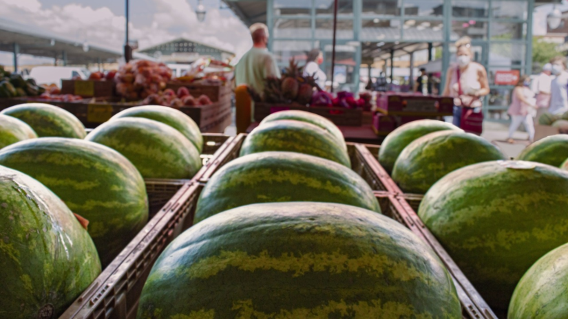 Prefira frutas inteiras ou cortadas na hora, em ambiente higienizado/ Roy Harryman/Pixabay