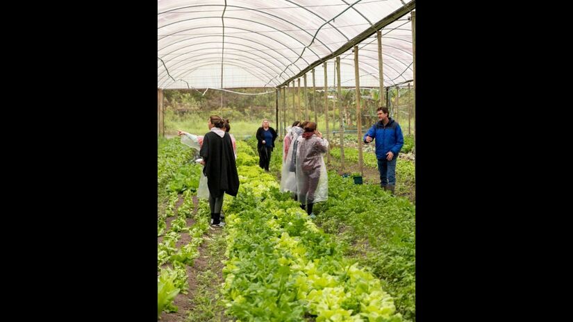 Parte dos alimentos servidos no restaurante é cultivada na própria fazenda, sem agrotóxicos ou conservantes/ Foto de Divulgação