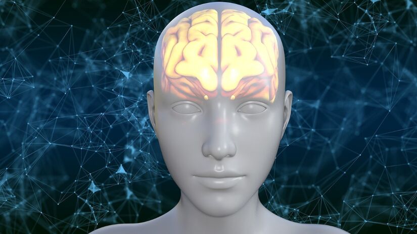 O cérebro da paciente foi afetado por um parasita de cobra / Pixabay