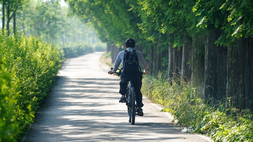 A bicicleta é ainda um importante veículo de transporte / Pixabay