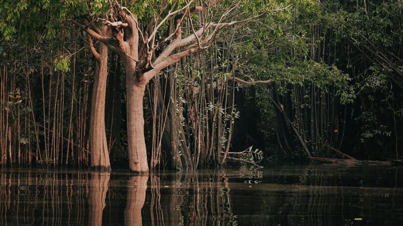 Rios Voadores - Cerca de 20 bilhões de toneladas de água são lançados no ar diariamente pela Floresta Amazônia - Divulgação/Pixels
