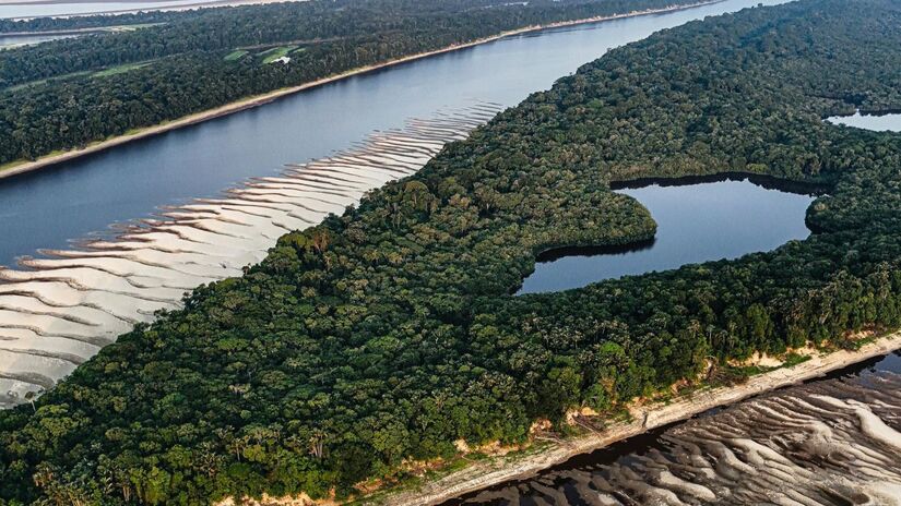 O rio Amazonas, responsável por drenar mais de sete milhões de quilômetros quadrados de terras dando a ele o pódio de maior rio em volume de água do mundo - Divulgação/Pixels
