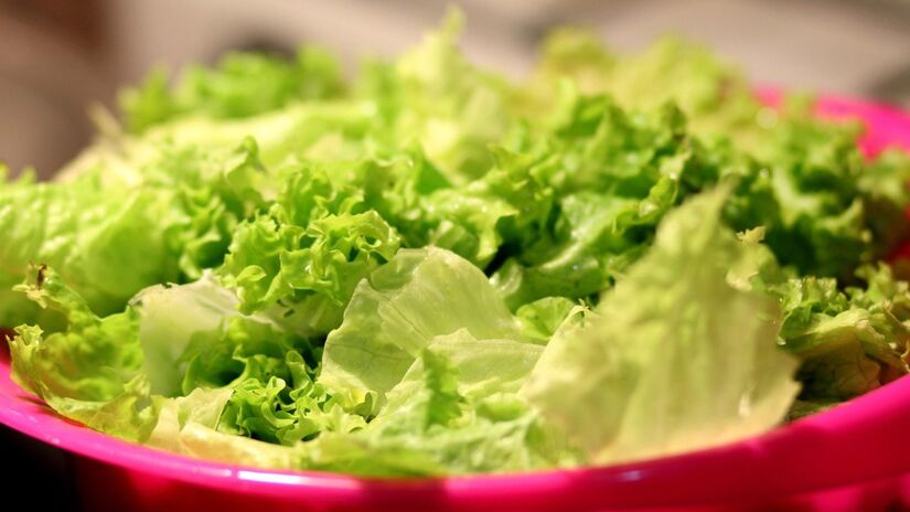O alface é um ingredientes principais das saladas / Pixabay
