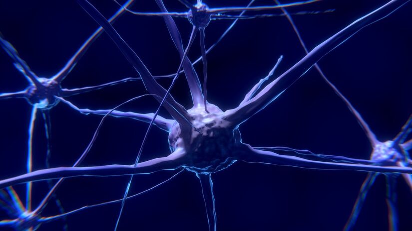 A neurociência cada dia mais avança e descobre os segredos do cérebro humano / Pixabay