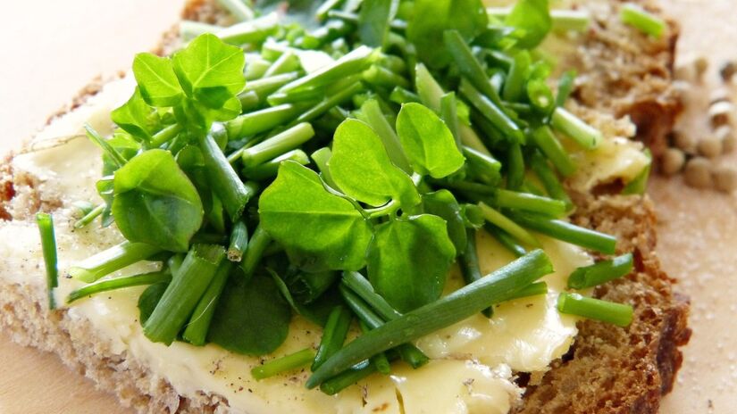 Ele também é uma ótima opção para lanches rápidos entre as refeições / Pixabay