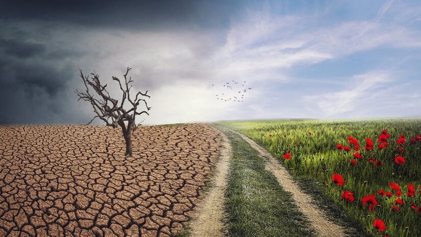 As mudanças climáticas já estão mudando a paisagem em diversos lugares do mundo  / Pixabay