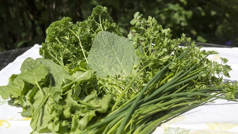 Aliado a outros vegetais, o agrião pode ajudar a formar um escudo potente contra doenças / Pixabay