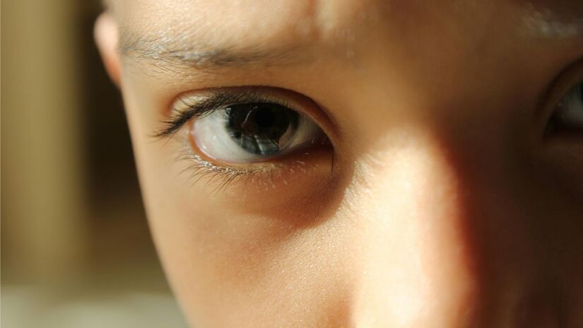 Se ambos os pais possuírem olhos castanhos, a probabilidade é de 75% de chance de um bebê com olhos castanhos, 18,8% de chance de olhos verdes, 6,3% de chance de olhos azuis - Pexels