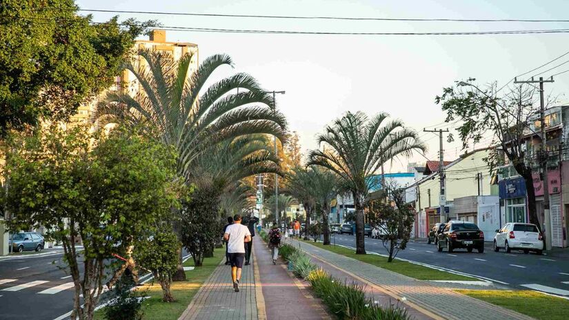 1.194 em São Caetano - Prefeitura de São Caetano 